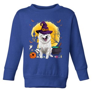 Cute American Eskimo Witch Pumpkin Halloween Dog Lover Gift Toddler Sweatshirt