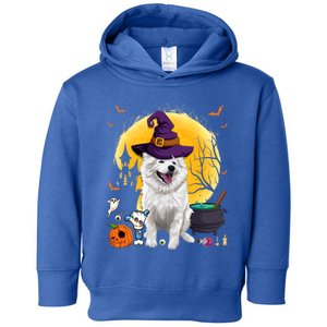 Cute American Eskimo Witch Pumpkin Halloween Dog Lover Gift Toddler Hoodie