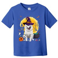 Cute American Eskimo Witch Pumpkin Halloween Dog Lover Gift Toddler T-Shirt