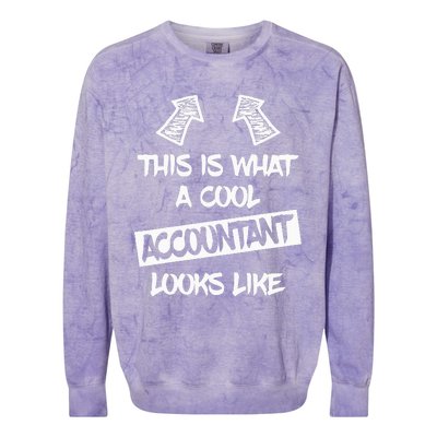 Cool Accountant Funny Saying Accountants Bookkeepers Colorblast Crewneck Sweatshirt