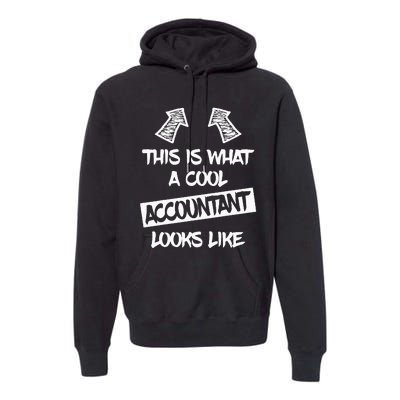 Cool Accountant Funny Saying Accountants Bookkeepers Premium Hoodie