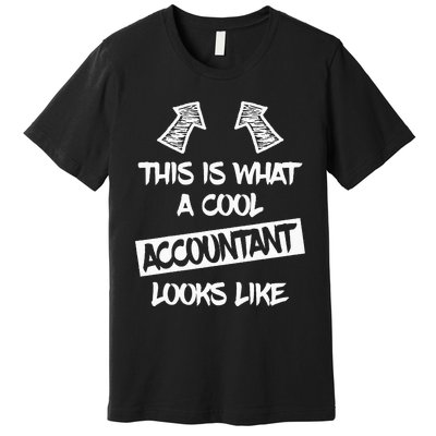 Cool Accountant Funny Saying Accountants Bookkeepers Premium T-Shirt