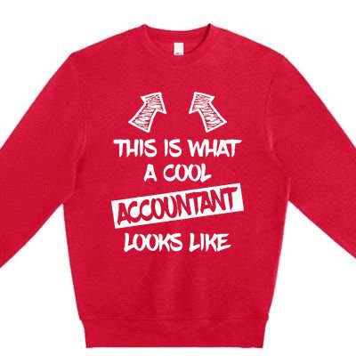 Cool Accountant Funny Saying Accountants Bookkeepers Premium Crewneck Sweatshirt