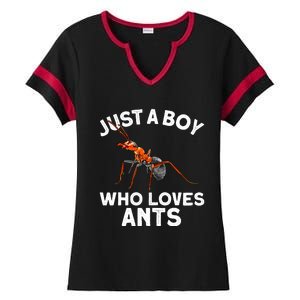 Cool Ant For Ant Farm Entomology Ants Insect Ladies Halftime Notch Neck Tee