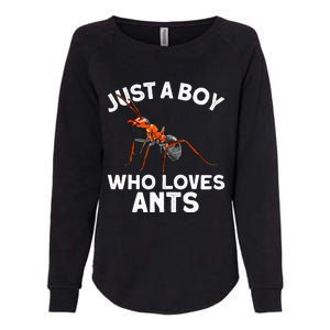 Cool Ant For Ant Farm Entomology Ants Insect Womens California Wash Sweatshirt