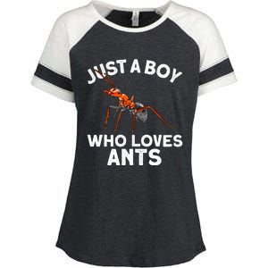 Cool Ant For Ant Farm Entomology Ants Insect Enza Ladies Jersey Colorblock Tee