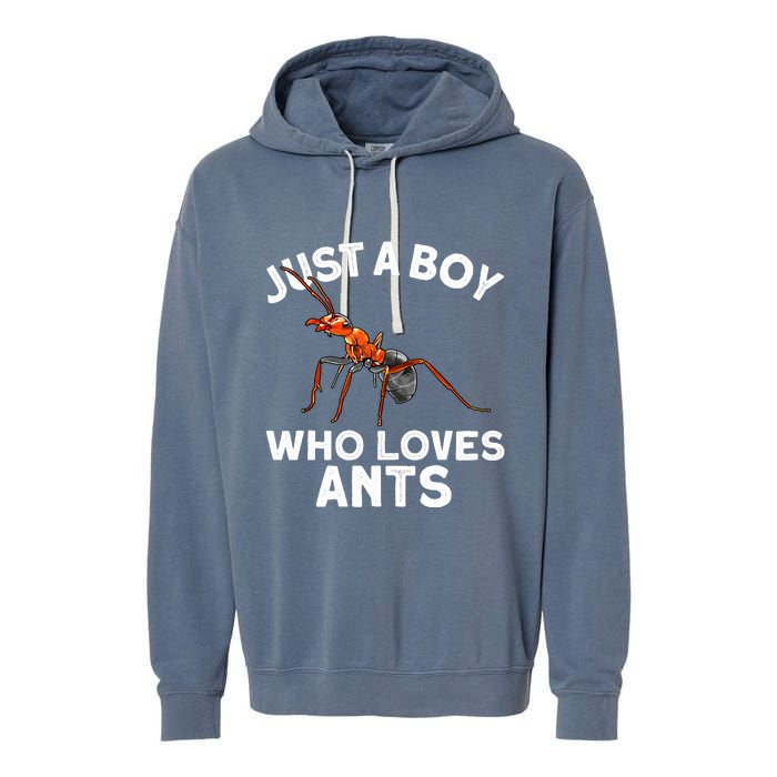 Cool Ant For Ant Farm Entomology Ants Insect Garment-Dyed Fleece Hoodie