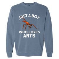 Cool Ant For Ant Farm Entomology Ants Insect Garment-Dyed Sweatshirt