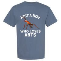 Cool Ant For Ant Farm Entomology Ants Insect Garment-Dyed Heavyweight T-Shirt