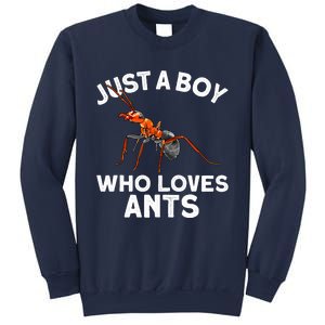 Cool Ant For Ant Farm Entomology Ants Insect Sweatshirt