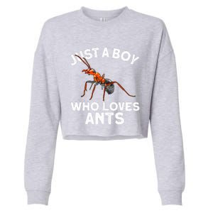 Cool Ant For Ant Farm Entomology Ants Insect Cropped Pullover Crew