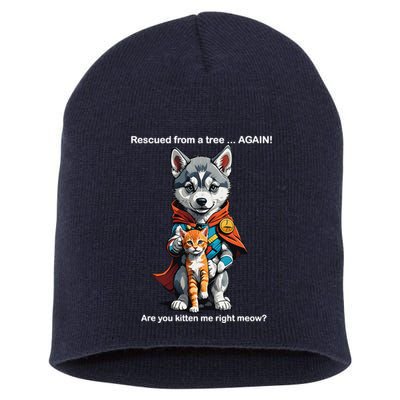 Cute Adorable Funny Gift Superhero Husky Puppy Cartoon Humor Short Acrylic Beanie