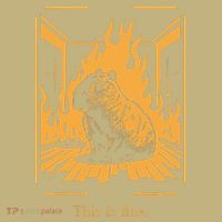 Capybara Amidst Flames This Is Fine Meme Art Sustainable Beanie