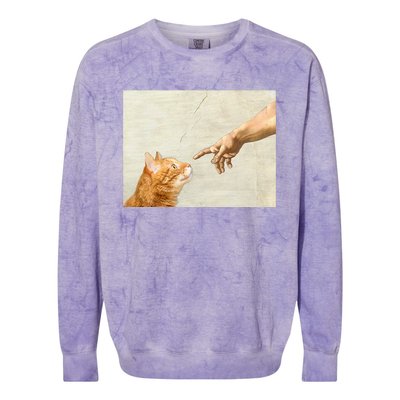 Cute Aesthetic Funny Cat Colorblast Crewneck Sweatshirt