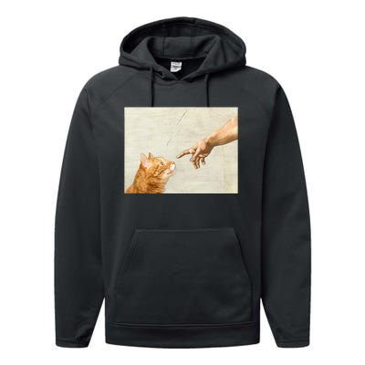 Cute Aesthetic Funny Cat Performance Fleece Hoodie