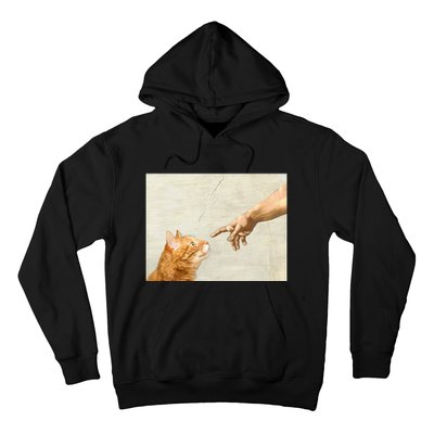 Cute Aesthetic Funny Cat Hoodie