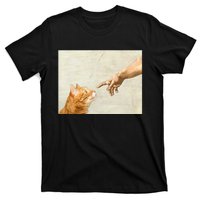 Cute Aesthetic Funny Cat T-Shirt