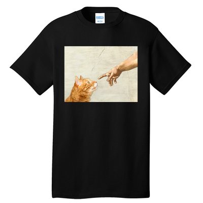 Cute Aesthetic Funny Cat Tall T-Shirt