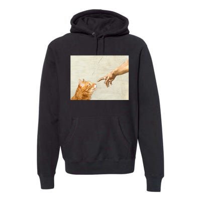 Cute Aesthetic Funny Cat Premium Hoodie