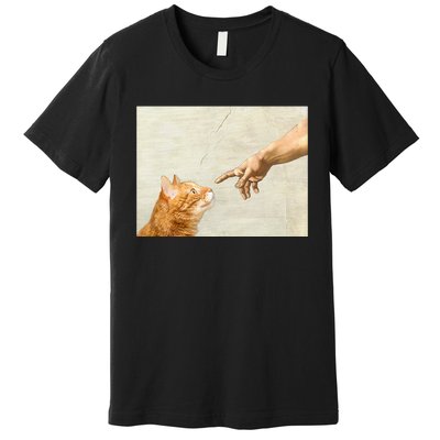 Cute Aesthetic Funny Cat Premium T-Shirt