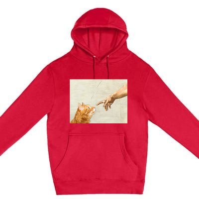 Cute Aesthetic Funny Cat Premium Pullover Hoodie