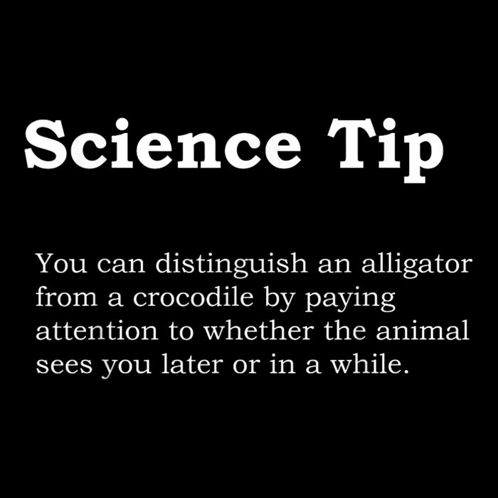 Crocodile Alligator Funny Science Tip Funny 16 in Basic Backpack