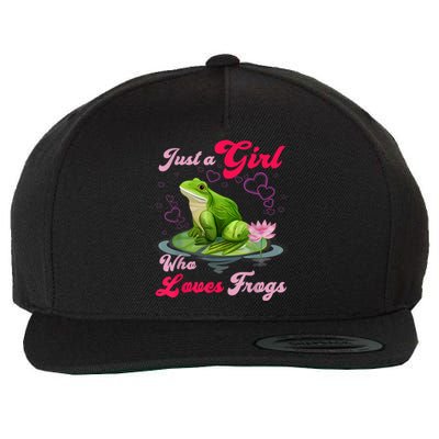 Cute And Funny Just A Girl Who Loves Frogs Wool Snapback Cap