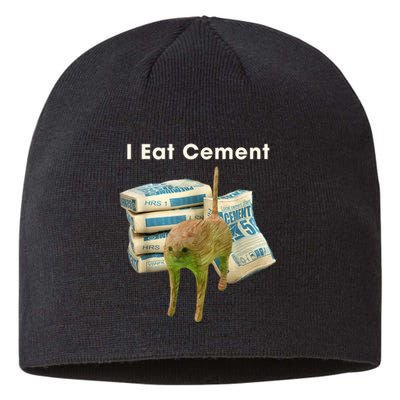 Classic Art Funny Catmeme Colorful Portrait I Eat Cement Sustainable Beanie