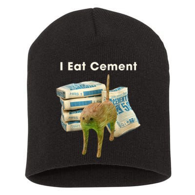 Classic Art Funny Catmeme Colorful Portrait I Eat Cement Short Acrylic Beanie