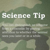 Crocodile Alligator Funny Science Tip Legacy Tie Dye Trucker Hat