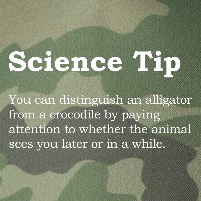 Crocodile Alligator Funny Science Tip Legacy Tie Dye Trucker Hat