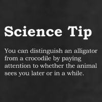 Crocodile Alligator Funny Science Tip Cool Comfort Performance Bucket Hat