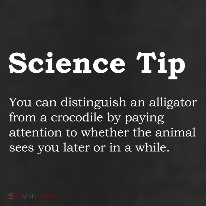Crocodile Alligator Funny Science Tip Premium Pullover Hoodie