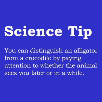 Crocodile Alligator Funny Science Tip T-Shirt