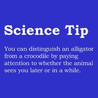 Crocodile Alligator Funny Science Tip Tie-Dye T-Shirt