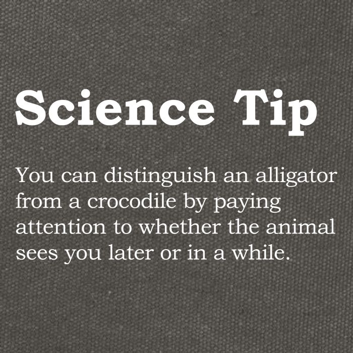 Crocodile Alligator Funny Science Tip Cotton Canvas Backpack