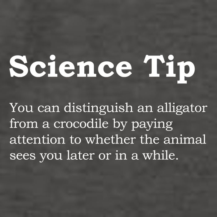 Crocodile Alligator Funny Science Tip Vector Backpack