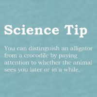 Crocodile Alligator Funny Science Tip Sueded Cloud Jersey T-Shirt