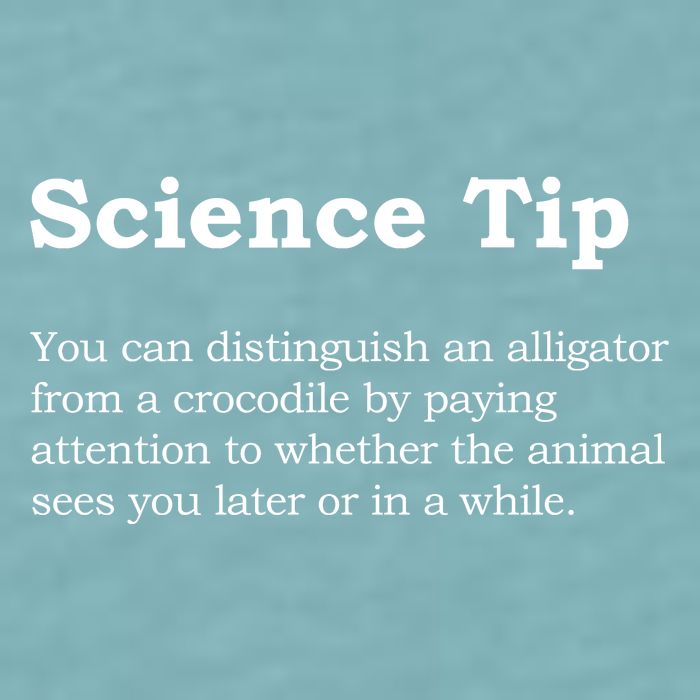 Crocodile Alligator Funny Science Tip Sueded Cloud Jersey T-Shirt