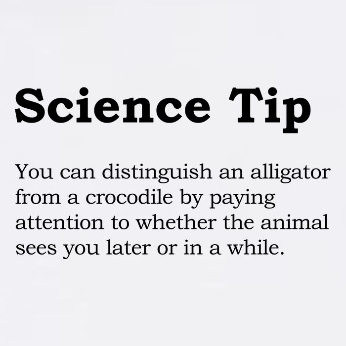 Crocodile Alligator Funny Science Tip Garment-Dyed Sweatshirt