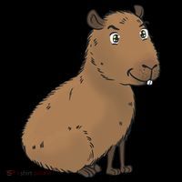 Cute And Funny Capybara Meme Flatbill Hat