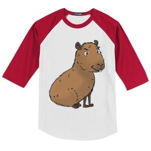 Cute And Funny Capybara Meme Kids Colorblock Raglan Jersey