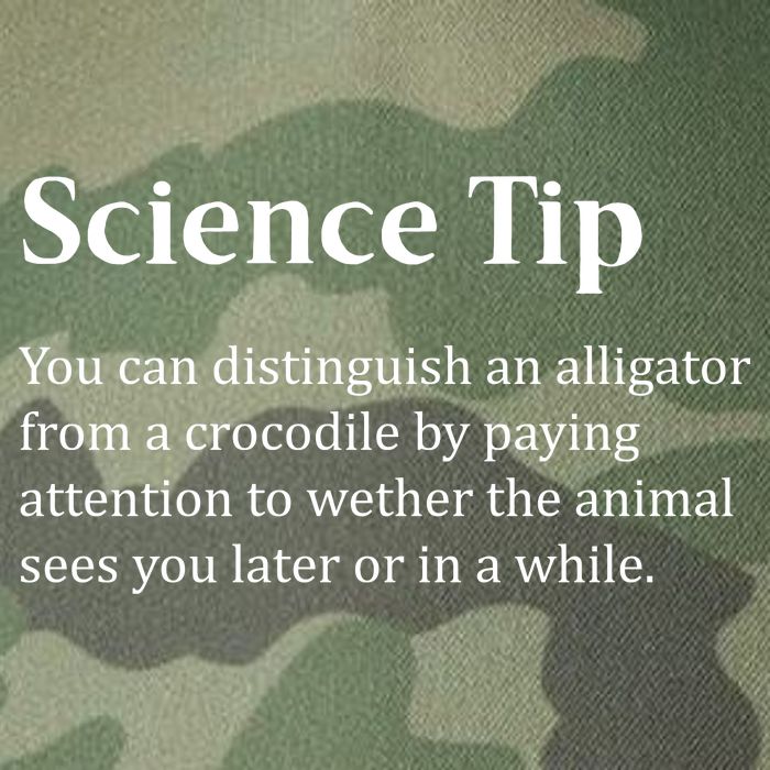 Crocodile Alligator Funny Science Tip Legacy Tie Dye Trucker Hat