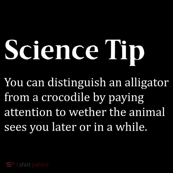 Crocodile Alligator Funny Science Tip City Backpack