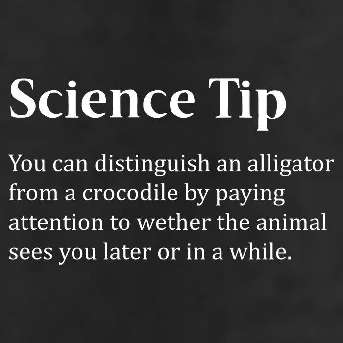 Crocodile Alligator Funny Science Tip Adult Drive Performance Visor