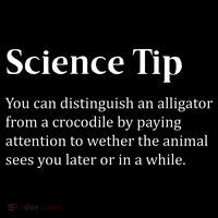 Crocodile Alligator Funny Science Tip Toddler Fine Jersey T-Shirt