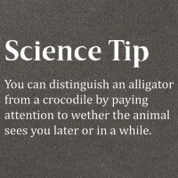 Crocodile Alligator Funny Science Tip Cotton Canvas Backpack