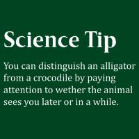 Crocodile Alligator Funny Science Tip Sweatshirt