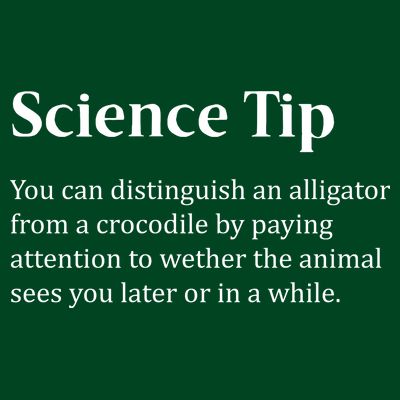 Crocodile Alligator Funny Science Tip T-Shirt