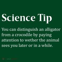 Crocodile Alligator Funny Science Tip Sustainable Beanie